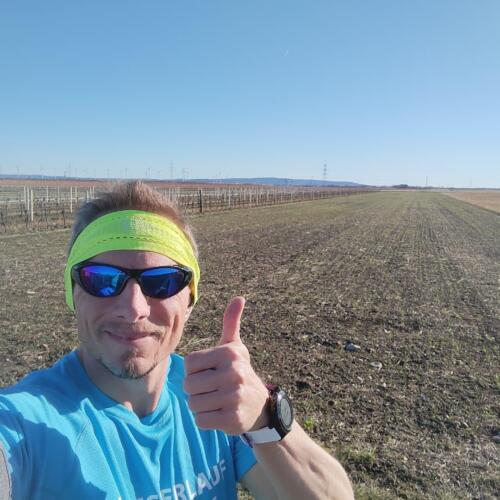 #hirtenbergersilvesterlauf