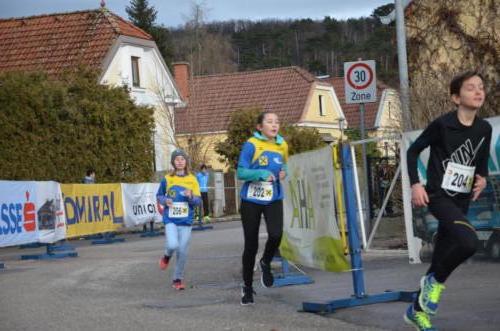 55. Silvesterlauf Hirtenberg 2018