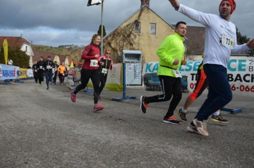55. Silvesterlauf Hirtenberg 2018