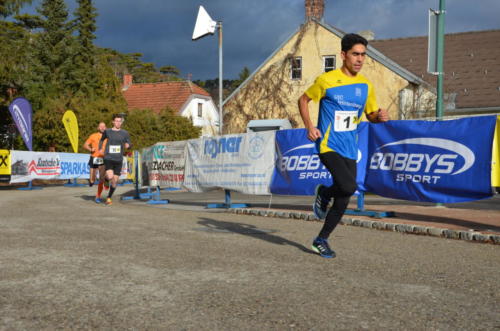 55. Silvesterlauf Hirtenberg 2018