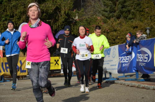 55. Silvesterlauf Hirtenberg 2018