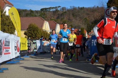 56. Silvesterlauf Hirtenberg 2019