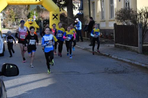 56. Silvesterlauf Hirtenberg 2019