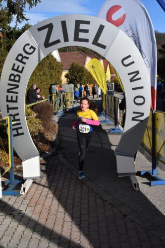 56. Silvesterlauf Hirtenberg 2019