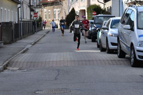 56. Silvesterlauf Hirtenberg 2019