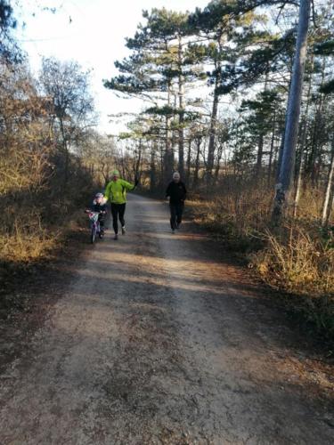 57. Silvesterlauf Hirtenberg 2020 "Virtual Run"