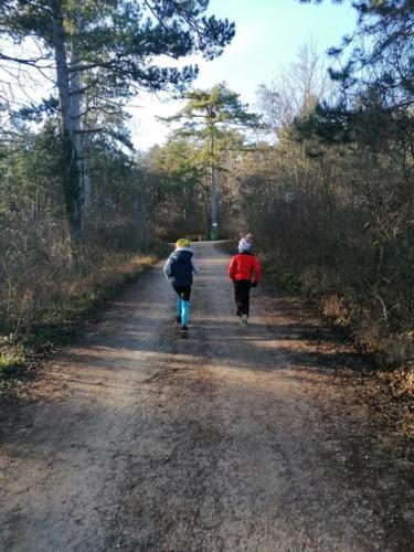 57. Silvesterlauf Hirtenberg 2020 "Virtual Run"