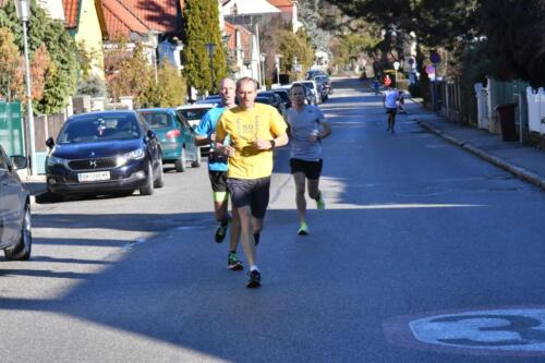58. Silvesterlauf Hirtenberg 2021 "Virtual Run"
