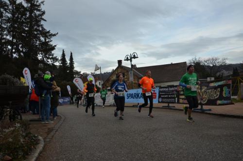 59. Silvesterlauf Hirtenberg 2022