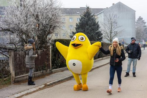 61. Hirtenberger Silvesterlauf