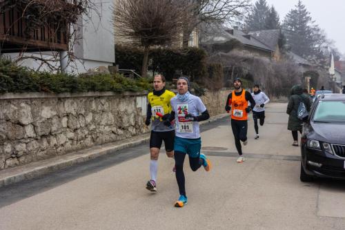 61. Hirtenberger Silvesterlauf