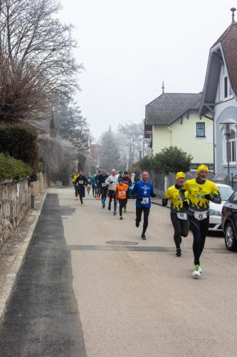 61. Hirtenberger Silvesterlauf