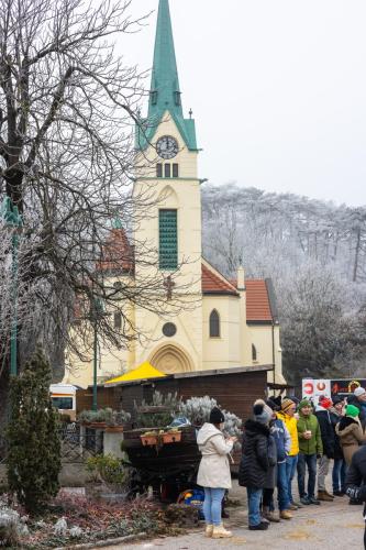 61. Hirtenberger Silvesterlauf