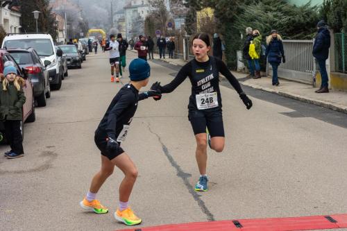 61. Hirtenberger Silvesterlauf