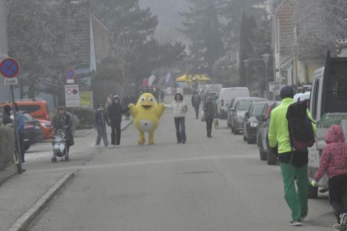 61. Hirtenberger Silvesterlauf