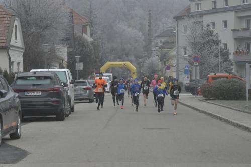 61. Hirtenberger Silvesterlauf
