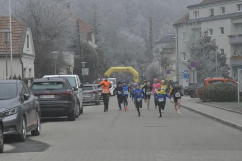 61. Hirtenberger Silvesterlauf