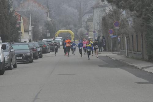 61. Hirtenberger Silvesterlauf