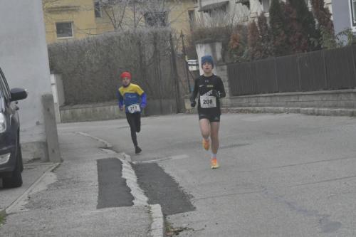 61. Hirtenberger Silvesterlauf