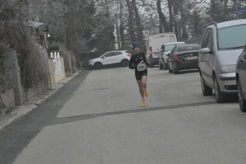 61. Hirtenberger Silvesterlauf