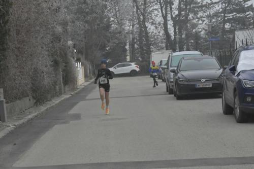 61. Hirtenberger Silvesterlauf