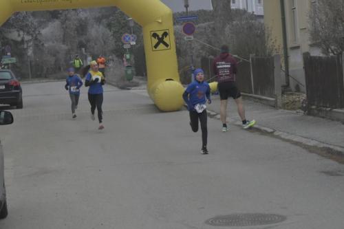 61. Hirtenberger Silvesterlauf