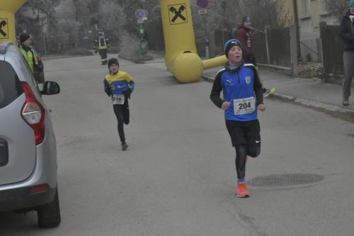 61. Hirtenberger Silvesterlauf