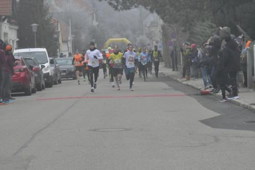 61. Hirtenberger Silvesterlauf