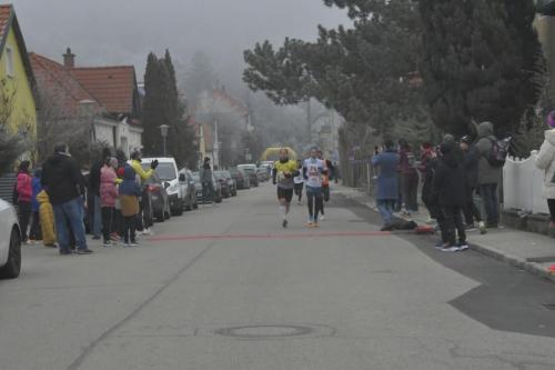 61. Hirtenberger Silvesterlauf