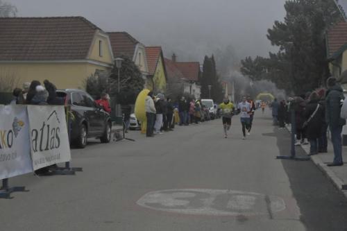 61. Hirtenberger Silvesterlauf