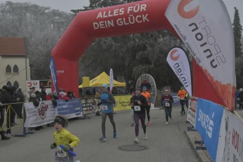 61. Hirtenberger Silvesterlauf