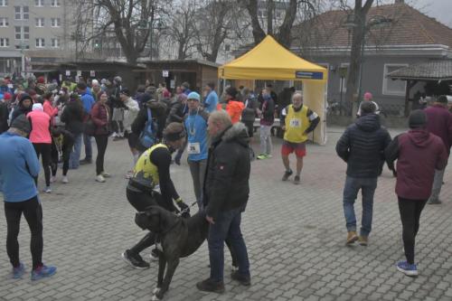 61. Hirtenberger Silvesterlauf