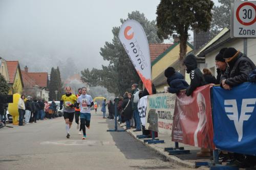 61. Hirtenberger Silvesterlauf