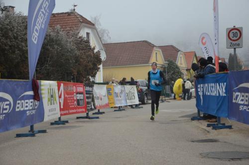 61. Hirtenberger Silvesterlauf