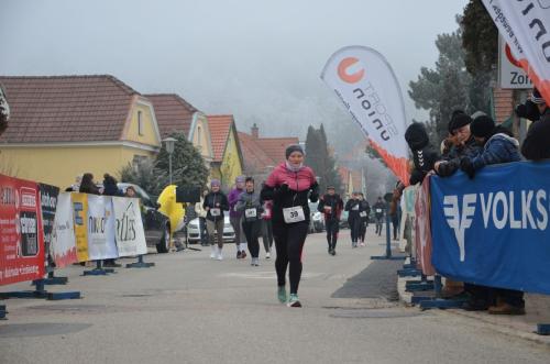61. Hirtenberger Silvesterlauf