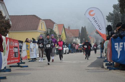 61. Hirtenberger Silvesterlauf