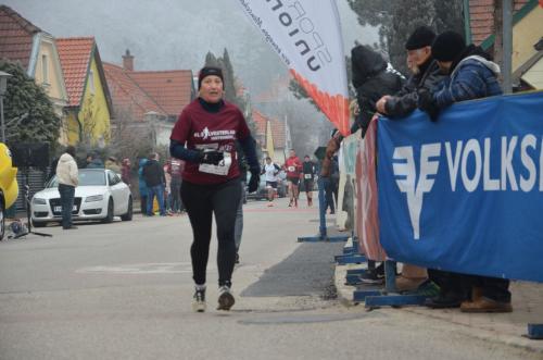 61. Hirtenberger Silvesterlauf