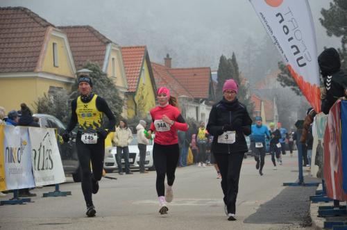 61. Hirtenberger Silvesterlauf