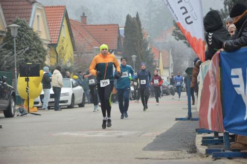 61. Hirtenberger Silvesterlauf
