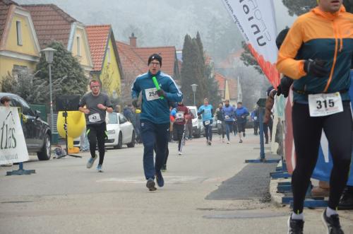 61. Hirtenberger Silvesterlauf