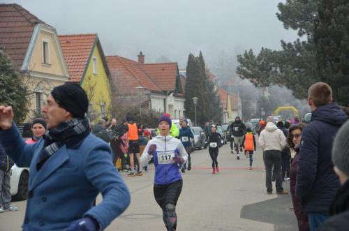 61. Hirtenberger Silvesterlauf
