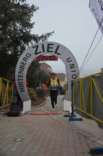 61. Hirtenberger Silvesterlauf