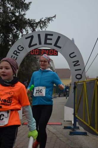 61. Hirtenberger Silvesterlauf