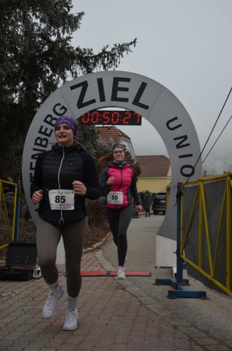 61. Hirtenberger Silvesterlauf