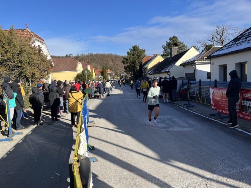 62. Silvesterlauf Hirtenberg 2025