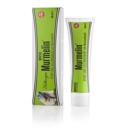 Silvesterlauf Hirtenberg Sponsoren