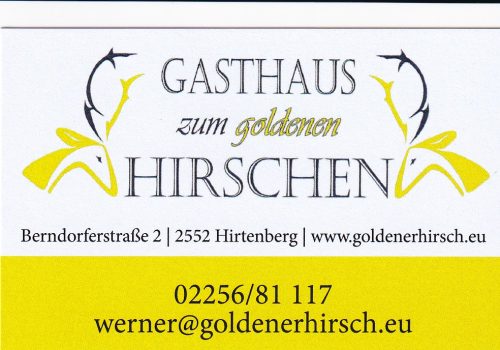 Offizielle Sponsoren Silvesterlauf Hirtenberg