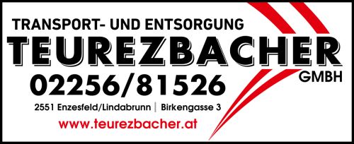 Silvesterlauf Hirtenberg Sponsoren