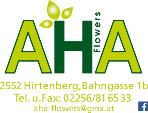 Silvesterlauf Hirtenberg Sponsoren